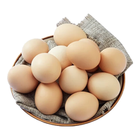 喜蛋哥虫草蛋吃虫子草新鲜鸡蛋农家散养柴鸡蛋谷物蛋 20枚虫草蛋