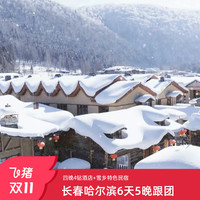 长春哈尔滨6天5晚跟团游 长白山天池雾凇漂流滑雪 雪乡