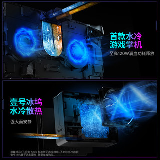 壹号本OneXPlayer 飞行家 APEX AMD MAX+ 395 /MAX 385 掌机游戏机8060s显卡8英寸 原生横屏win游戏掌机 Apex MAX+395 128GB+2TB标准版