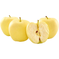 京橙美锦山东烟台黄元帅苹果黄金帅黄香蕉苹果粉面宝宝刮泥 净重8.5-9斤大果【80-90mm】精选