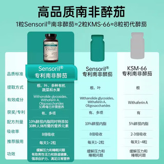 naturewise男士复合维生素 含南非醉茄B族维C钙锌硒多种维生素矿物质60粒/瓶 男性复合维生素