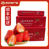 静益乐源 大凉山红颜草莓 净重3斤中果礼盒单果13-18g