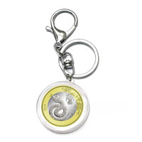 金永恒 2025年蛇年纪念币 蛇年纪念钞 生肖贺岁币 蛇币1枚 带钥匙扣