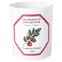 Carriere Freres 凯睿达 法国植物学家香薰蜡烛安神助睡眠香氛精油持久礼盒cf新婚结婚 番茄
