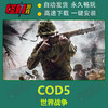 休闲COD使命召唤1-14 17全系列中文版免steam电脑PC单机游戏 COD使命召唤5：世界战争