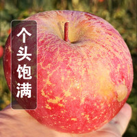 土地母亲计划 苹果 脆甜 5斤特大果7-9个