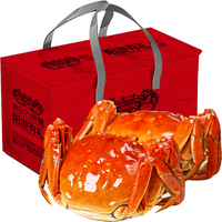 【活蟹】阳澄有礼 3两公蟹6只 精品大闸蟹鲜活海鲜螃蟹 蟹类生鲜礼盒 源头直发