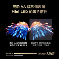 雷鸟 FFALCON 鹤6 Ultra 25款75英寸超低反电视机 QD-MiniLED75S595C