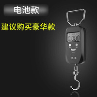 凯丰 迷你手提秤电子秤50kg便携式高精度家用快递称弹簧秤小型商用