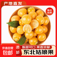 水果 东北姑娘果黄菇凉灯笼果姑茑新鲜当季水果整箱 姑娘果2斤