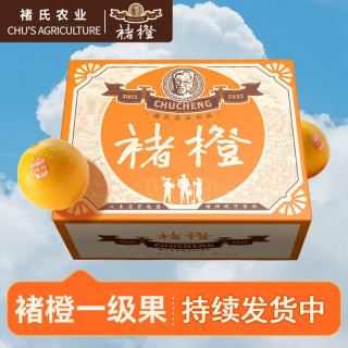 褚橙 一级果 M码 单果105-140g 10斤 礼盒装