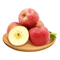 闽农语果大凉山丑苹果应当季新鲜水果四川糖心苹果红富士苹果 5斤【活动款 | 单果60-70mm】净重4.5斤 【果子表面有斑点属于正常现象】