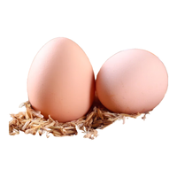 淘美鲜忆新鲜土鸡蛋农家散养 谷物蛋10枚
