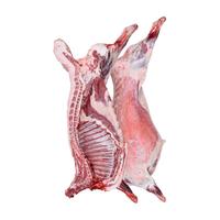 锡林之星 锡林郭勒散养苏尼特羔羊全羊礼盒整只白条生鲜羊肉 烤全羊火锅20