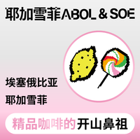 捌比特耶加雪菲阿宝ABOL耶加雪菲SOE埃塞俄比亚水洗精品手冲咖啡豆 耶加雪菲阿宝