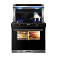 entive 亿田 D2ZK 集成灶 天然气