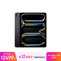 苹果 Apple iPad Pro 2024款 M4版 11英寸 平板电脑 无线局域网机型 2TB