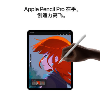 Apple 苹果 iPad Pro 2025款 M5版 13英寸 平板电脑（Apple M5、12GB、256GB、WLAN版、深空黑色）