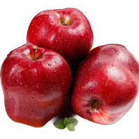 集南鲜  甘肃天水花牛苹果 当季新鲜整箱辅食蛇果婴儿水果 5斤优选大果 70-80mm 净重4.5斤