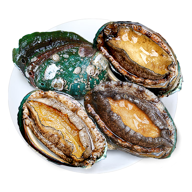 缤鲜  鲜冻大鲍鱼净重    鲜活熟冻 海鲜贝类