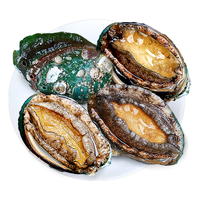 缤鲜  鲜冻大鲍鱼净重    鲜活熟冻 海鲜贝类