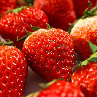 丹东99草莓红颜九九大草莓新鲜水果现摘马家岗奶油草莓 大果（单果30g以上）