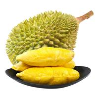 莱财多 液氮冷冻 黑刺榴莲