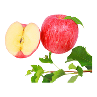 陕西洛川苹果 24枚75-80mm单果170-210g 新鲜红富士水果 健康轻食 产地直发