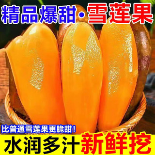 云南雪莲果天山新鲜水果当季现挖脆甜5斤雪连果时令大果整箱包邮