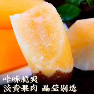 云南雪莲果天山新鲜水果当季现挖脆甜5斤雪连果时令大果整箱包邮