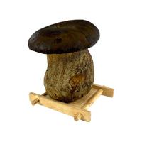 新鲜黑牛肝菌 云南特产新鲜牛肝菌食用菌菇炒菜煲汤火锅食材