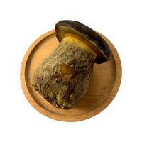 新鲜黑牛肝菌 云南特产新鲜牛肝菌食用菌菇炒菜煲汤火锅食材