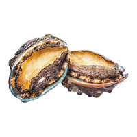 海鼎纪带壳鲍鱼净重200g (8-14个) 新鲜 原汁原味