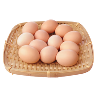  baishixuan/百食轩 当天现捡现发 土鸡蛋  礼盒装、普通箱 散养 40枚