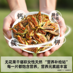 果家班 青皮无花果干即食无添加不加糖休闲零食果干精选 青皮无花果干60g*2袋