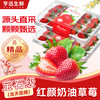 亨迅 大凉山红颜奶油草莓 2盒装 600g