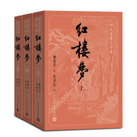 红楼梦 附电子版任务关系图 大字版名人民文学曹雪芹