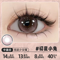 【39.8/2副】伊娃爱黑色美瞳女隐形眼镜半年抛2片装自然大小直径 400