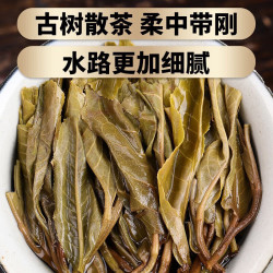 勐洛小寨 双十一底价购易武薄荷塘普洱茶生茶散茶古树茶云南2024年春茶新茶生普洱茶500克*1袋