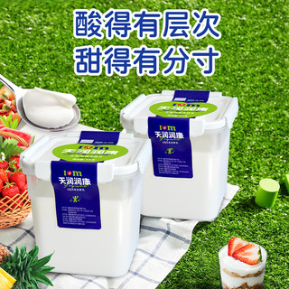 TERUN/天润 多口味 酸奶  原味方桶酸奶*2桶（酸甜） 桶装 1.00kg 1桶