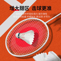 的幸均衡之刃超轻羽毛球拍全碳素纤维羽毛球耐打初学者耐用单拍 海岸蓝 质保30磅（已穿线+两个手胶）