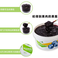 美果树 蓝莓果酱3KG烘焙蛋糕夹心颗粒果肉馅商用冲饮刨冰果泥