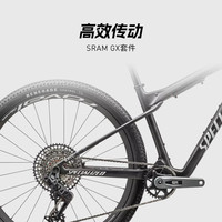 SPECIALIZED闪电 EPIC WORLD CUP EXPERT 避震软尾山地自行车 碳色/珍珠白 M