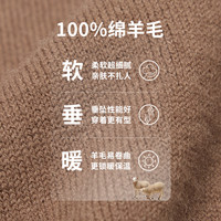 SHANSHAN杉杉奥莱圆领保暖毛衣男款秋冬季2025羊毛衫男士针织衫打底衫
