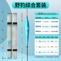 小凤仙纳米浮漂套装高灵敏鱼漂套装加粗尾醒目标带漂盒套装鲢鳙鲫鲤鱼漂 3支【