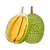田良季马来西亚猫山王榴莲D197【JD/-多地次日达】液氮冷冻新鲜水果 A+级 4.1-4.6斤【包4-5房】