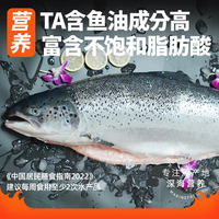 崇鲜挪威冰鲜三文鱼刺身(大西洋鲑)即食 生鱼片鲑鱼切片年货礼盒 挪威三文鱼腩肉双拼 800g (切片