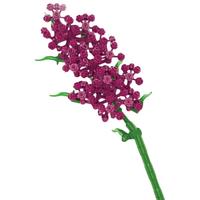 JAKI 佳奇 植物日志系列 JK2626 勿忘我