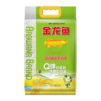 金龙鱼 清香稻 长粒香米 5kg*2袋
