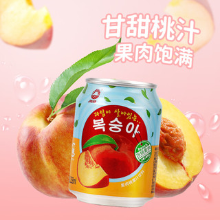 九日 九日果肉果汁饮料